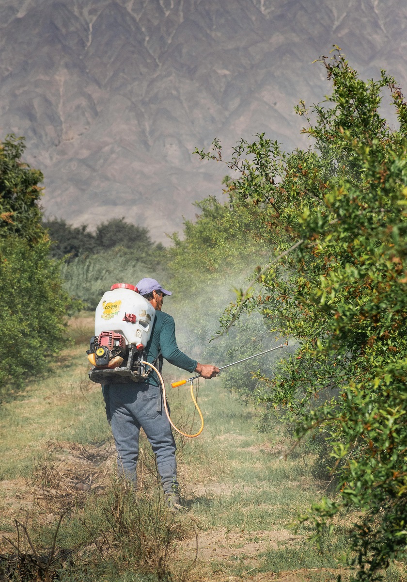 कीड व्यवस्थापन: शेतीतील कीड नियंत्रणाचे आधुनिक व सेंद्रिय उपाय 2025 3 शेतीतील आधुनिक कीड नियंत्रण साधने आणि नैसर्गिक कीटकनाशकांचा वापर – आधुनिक आणि शाश्वत शेती उपाय 2025